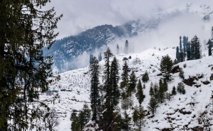 Best Things to Do in Manali