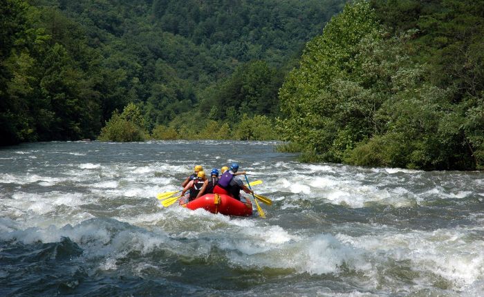 River Rafting in the Beas River