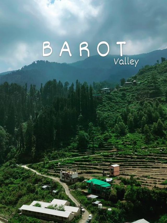 Barot Valley: Your Himalayan Oasis