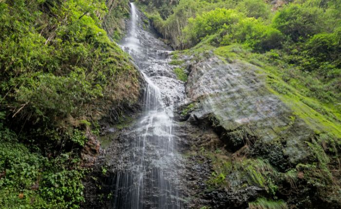 Chadwick falls summerhill shimla