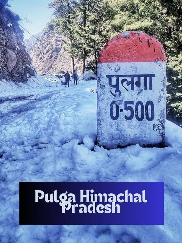 Discover Pulga Himachal Pradesh