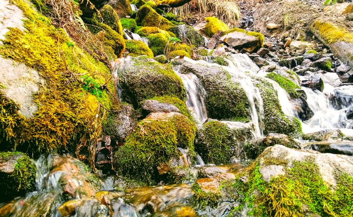 Nature view of waterfall