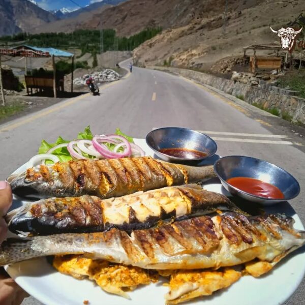 Trout Fish – Fresh from the Beas River
